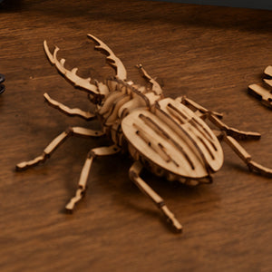 Longer Laser engraving work